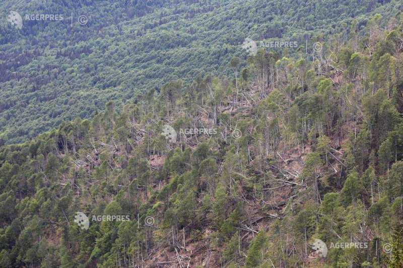 Vânt puternic în zone montane