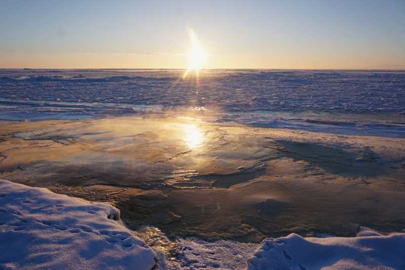Încălzirea oceanelor polare amenință infrastructura și biodiversitatea (raport)