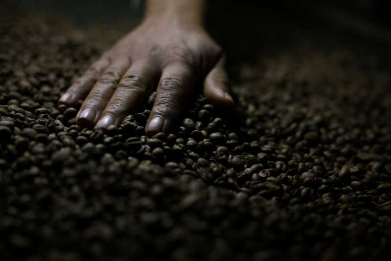 Valoarea importurilor de cafea ale blocului comunitar s-a dublat în ultimul deceniu