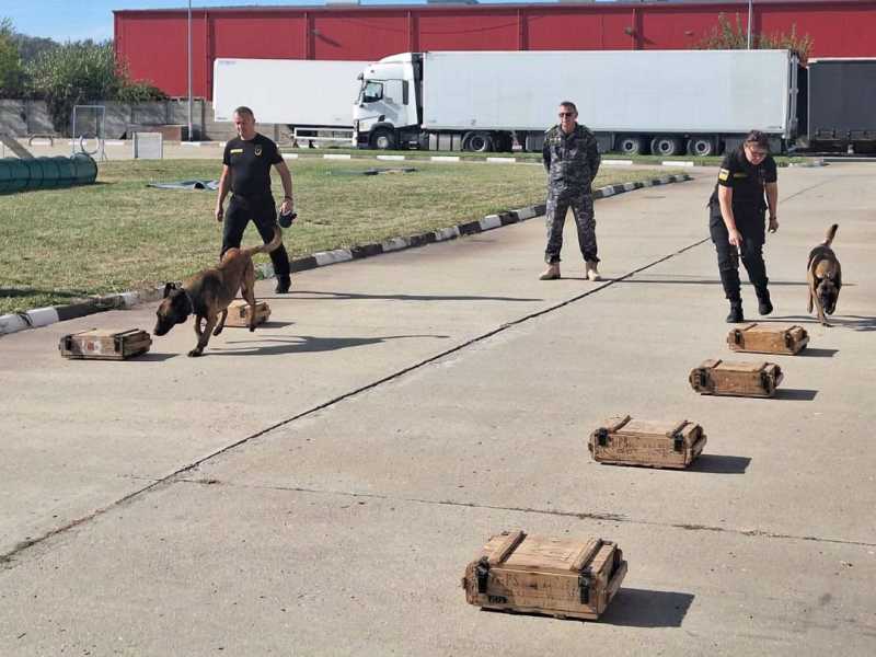 AVR: Șapte echipe canine vamale din Ucraina, pregătite în România pentru combaterea contrabandei